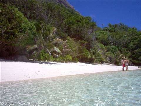 White sand beach with palm trees and tourists in clear water