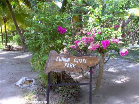 Wooden sign of L'Union Estate Park among pink bougainvillea and palms