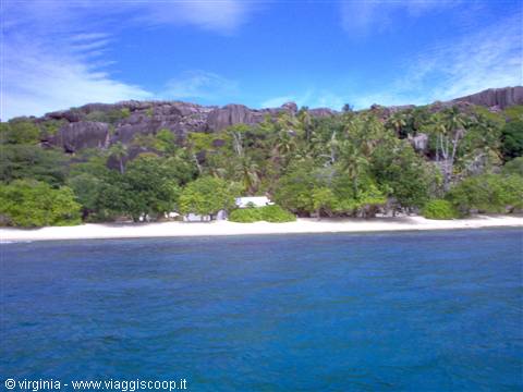 White sand beach beneath granite rocks and palms, turquoise water, Seychelles