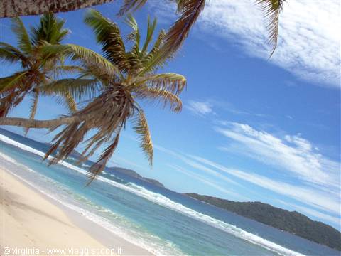 Palm trees lean over white sand beach, turquoise waves and green islets in the distance