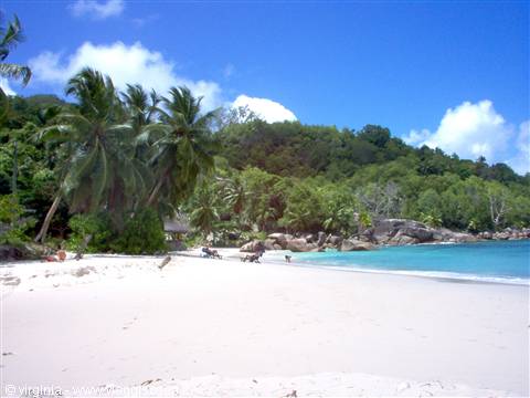White sand tropical beach with palms, granite boulders and turquoise sea