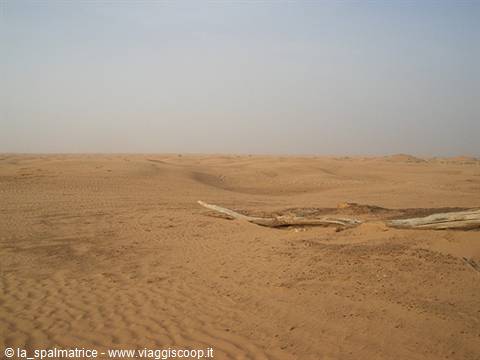 desert