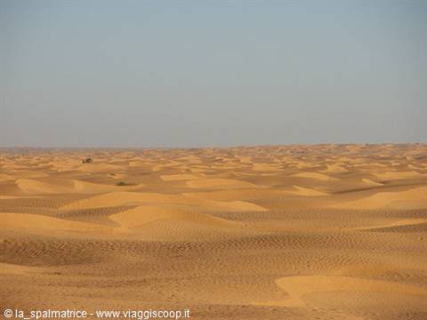 desert