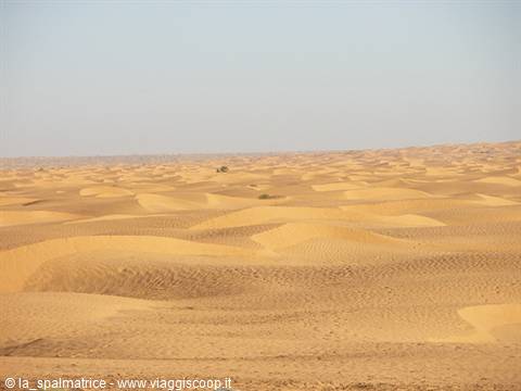 desert