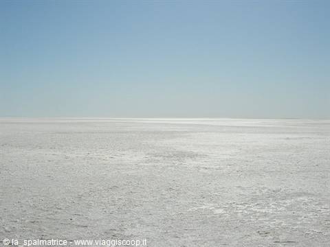 salt desert