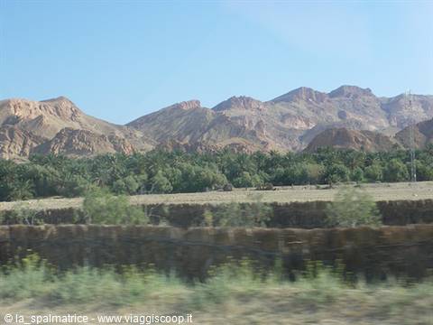 Red arid mountains above a palm oasis, dry stone wall in foreground