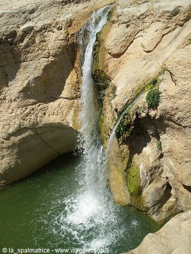 Waterfall dropping over limestone rocks into a green pool, Ein Gedi