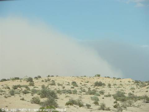 Sandstorm rising over sandy dunes with scattered bushes, blue sky