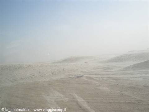 White sand dunes wrapped in fog, no people in sight
