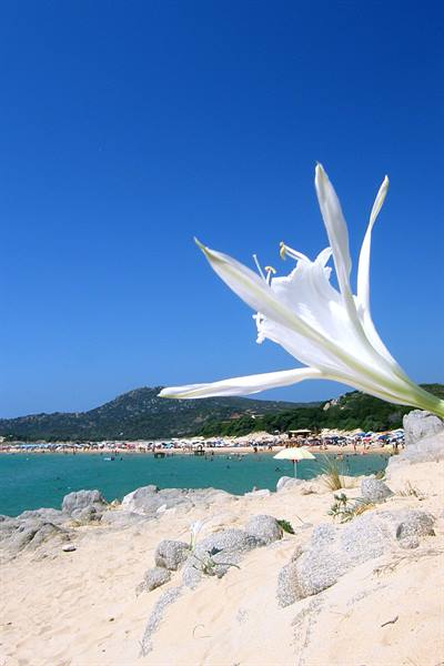 Su Giudeu