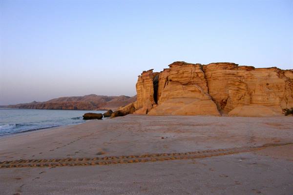 Ras al Jinz - Turtle tracks