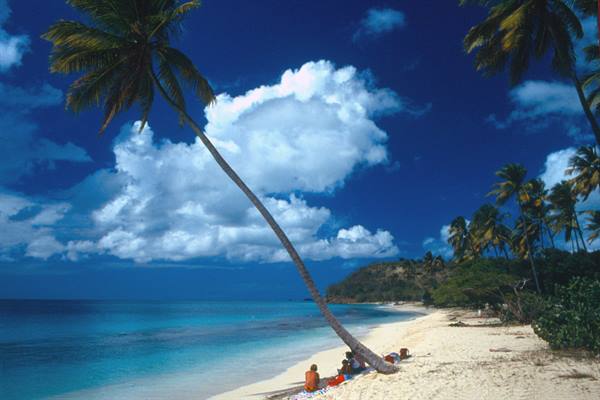 Darkwood Beach