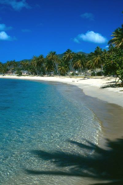 Morris Bay