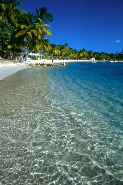 Carlisle Bay