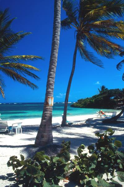 Mamora Bay 