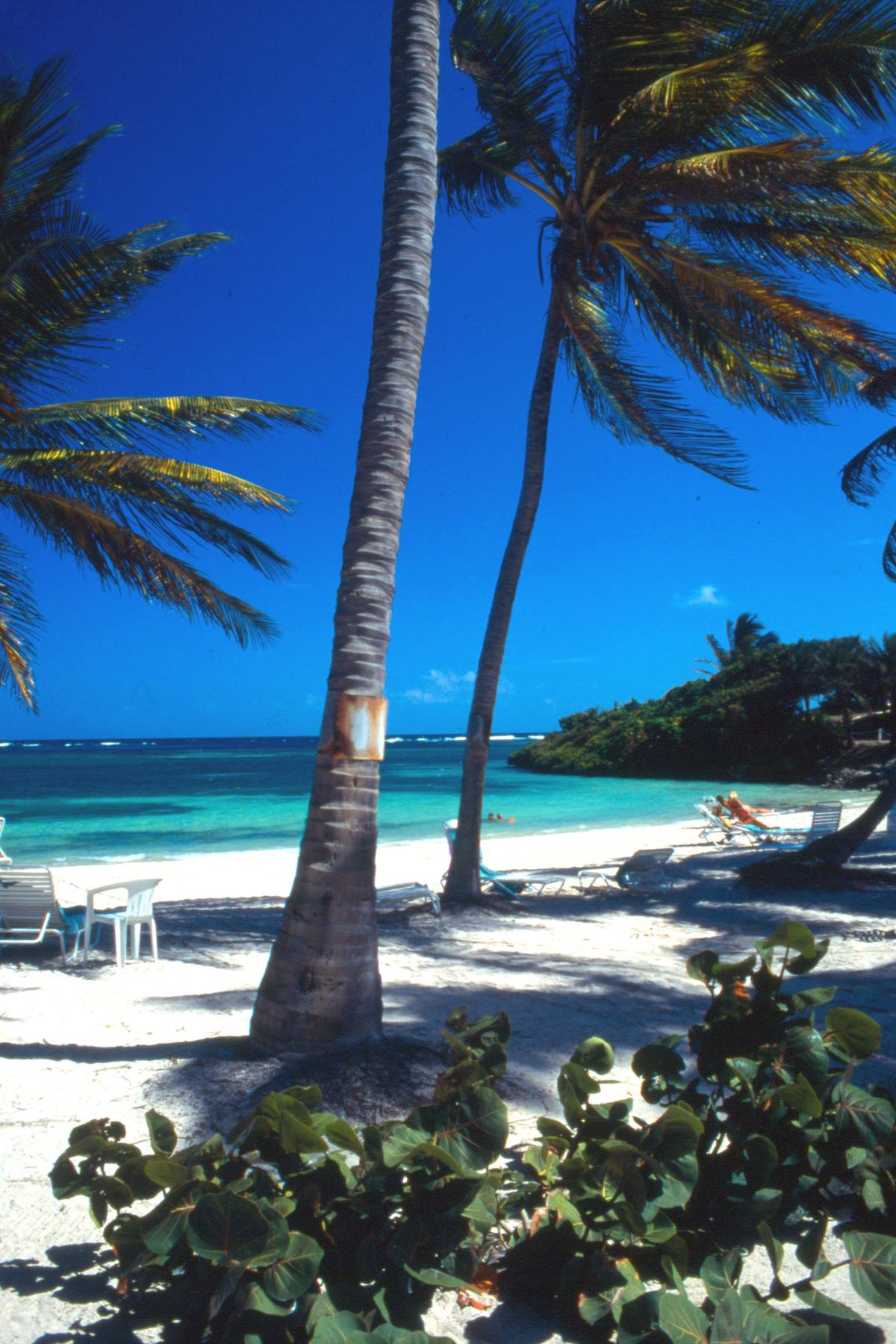 Mamora Bay