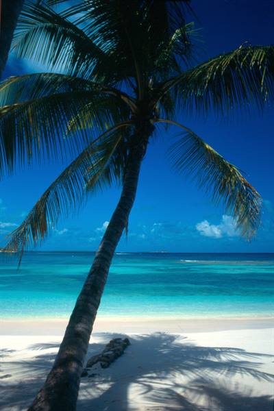 Long Bay