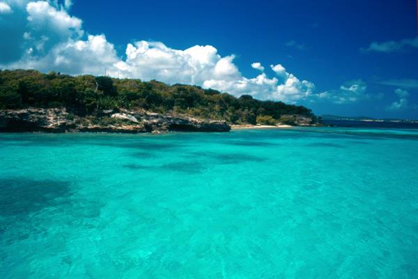 Bird Island