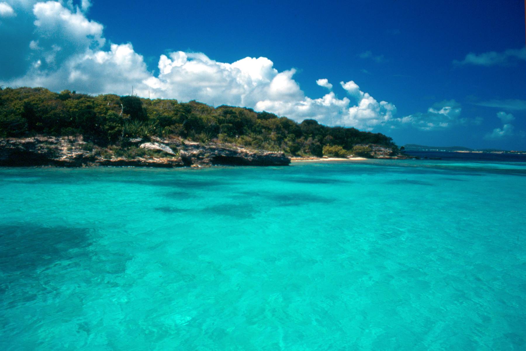 Bird Island