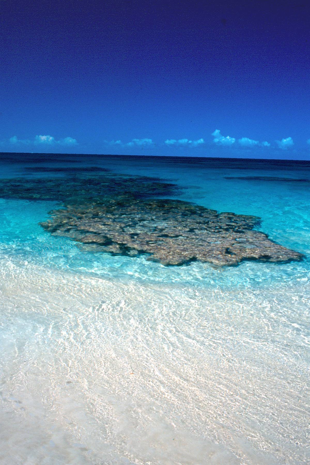 Cocoa Point