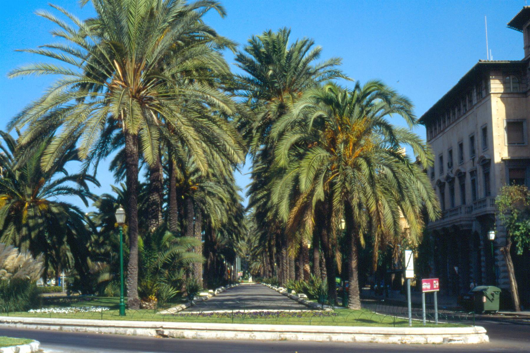 Palma de Mallorca