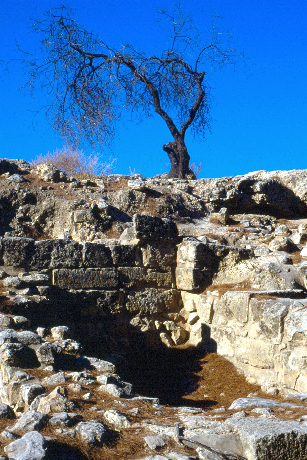 Crete - Phaistos