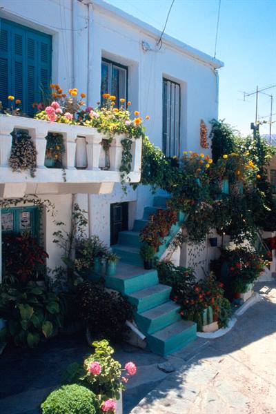 Creta - Anogia