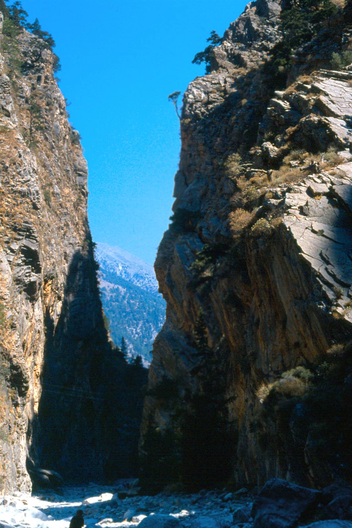Crete - Samaria Gorge
