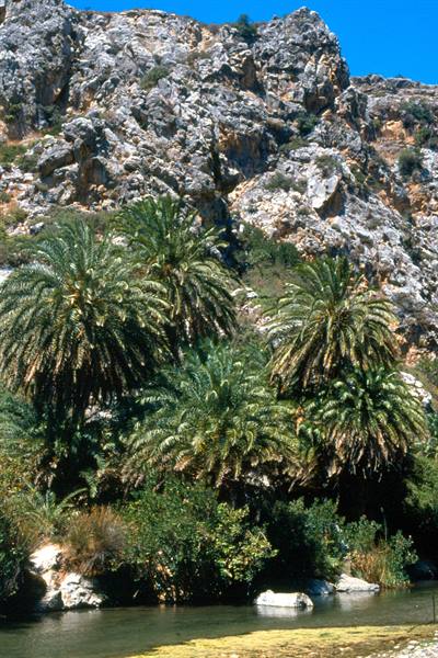 Crete - Crutalo