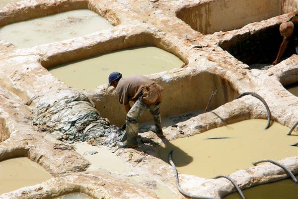 Fes - Guerniz tannery