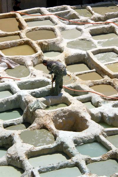 Fes - Chouara tanneries