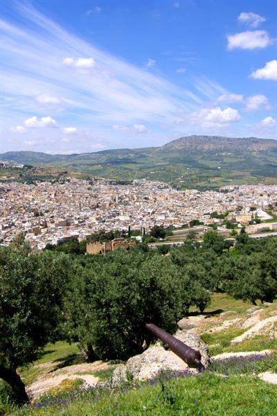 Fes - View from Borj Sud