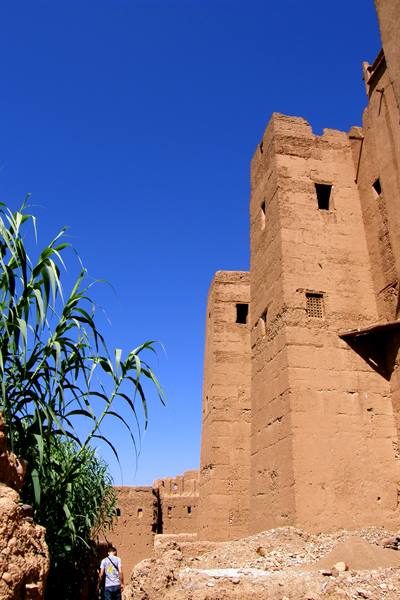 Draa Valley - Ksar Tamnougalt