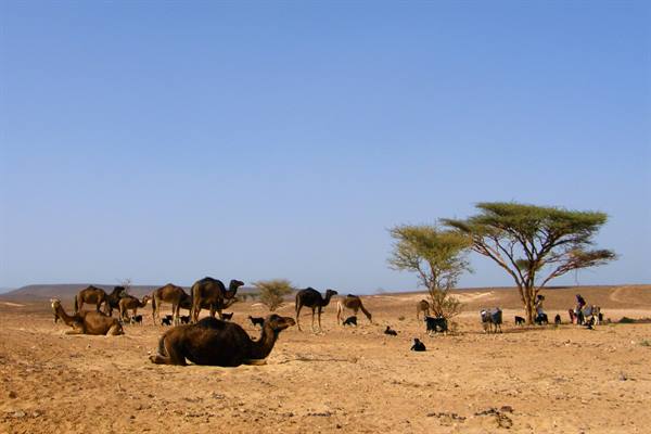 Mhamid - Towards the Erg Chegaga