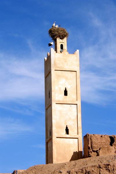 Ouarzazate - Kasbah Tamelsa