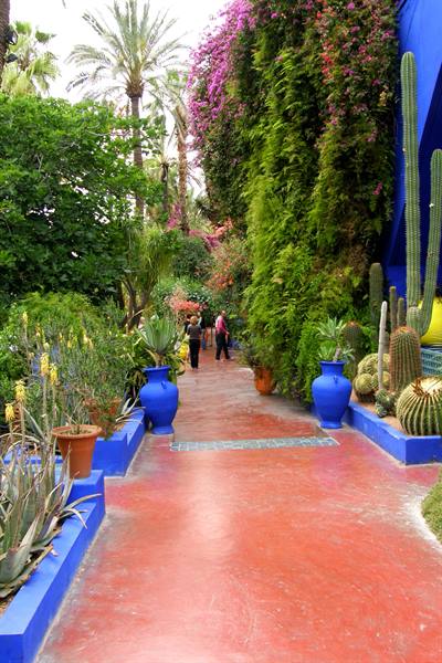 Marrakech - Majorelle Gardens 