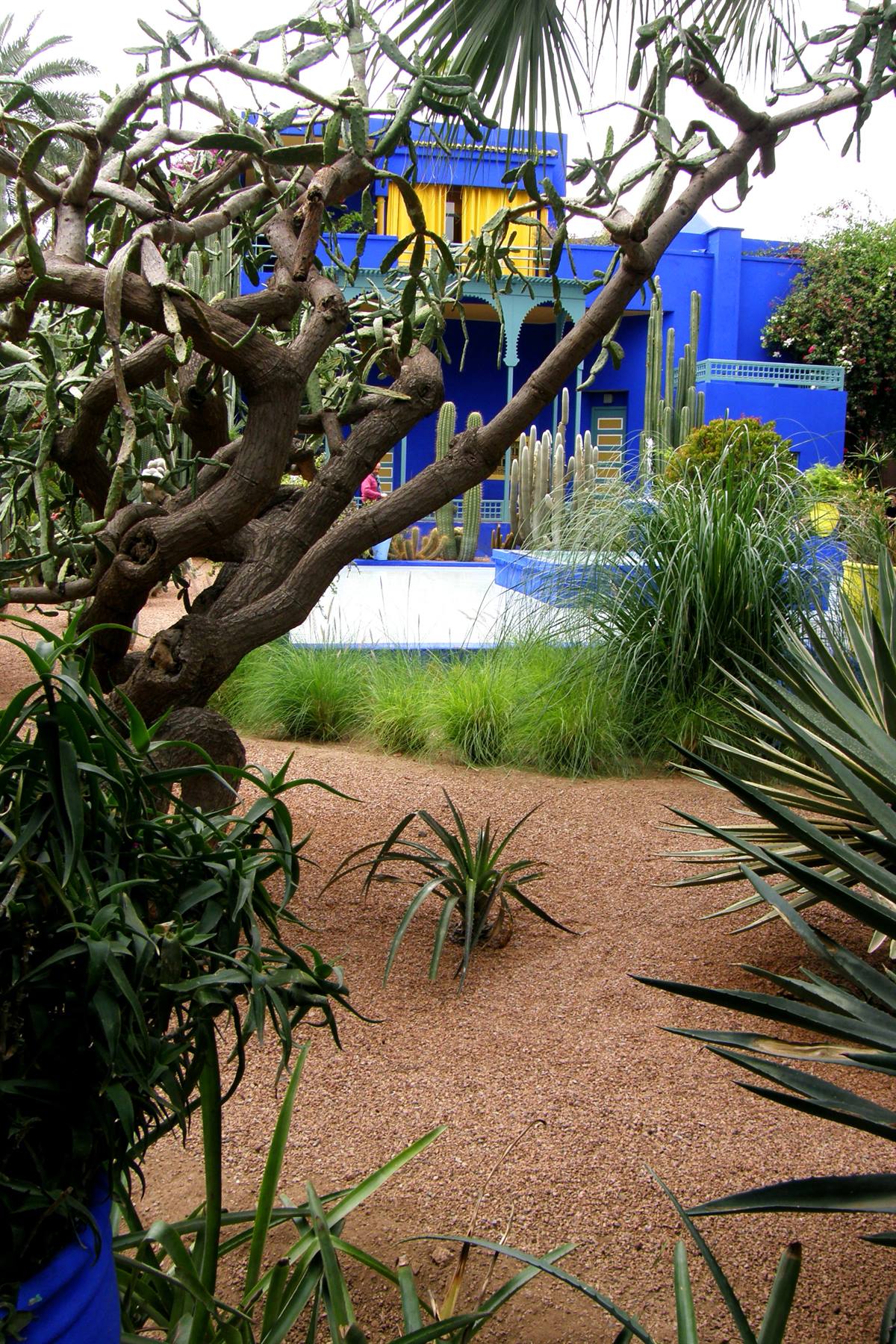 Marrakech - Majorelle Gardens