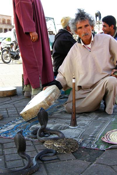 Marrakech - Jemaa el-Fna Square