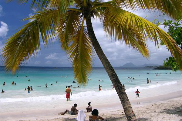 Anse Figuier