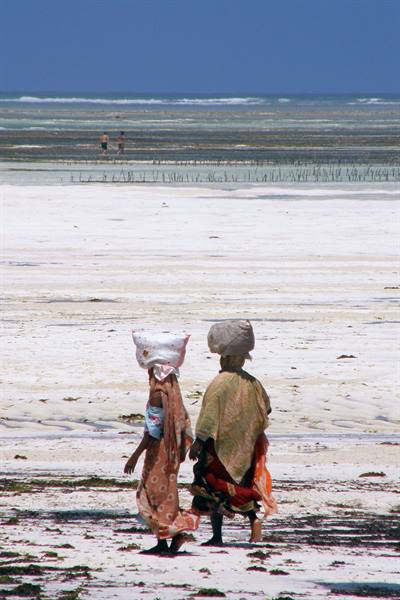 Pwani Mchangani