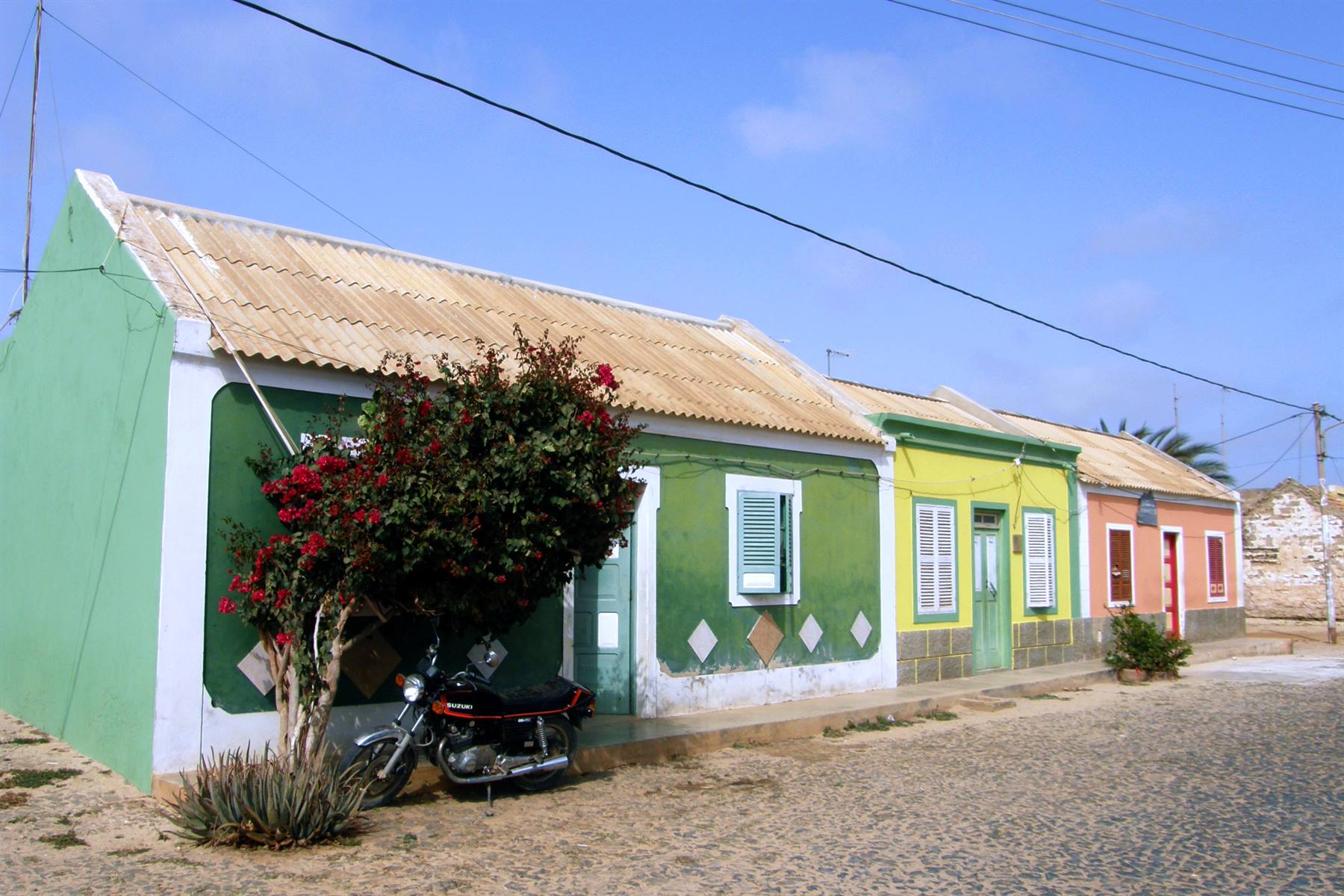 João Galego