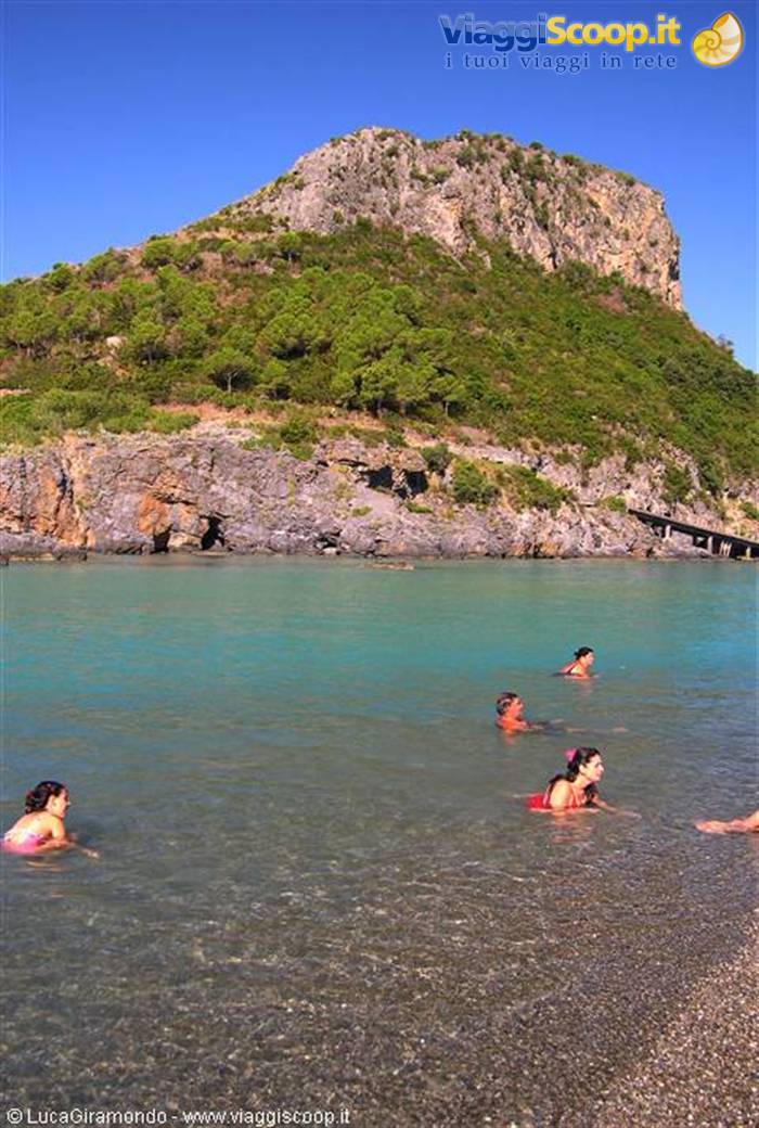 Dino Island