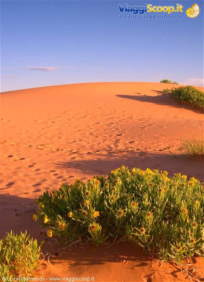 Coral Pink Sand Dunes State Park