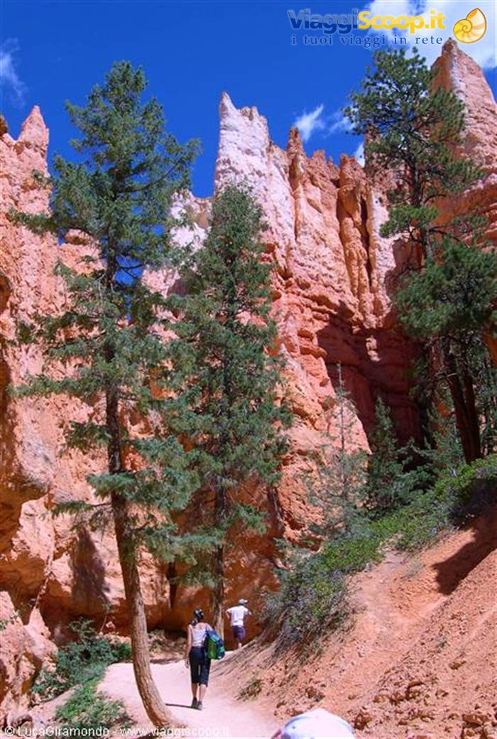 Bryce Canyon National Park
