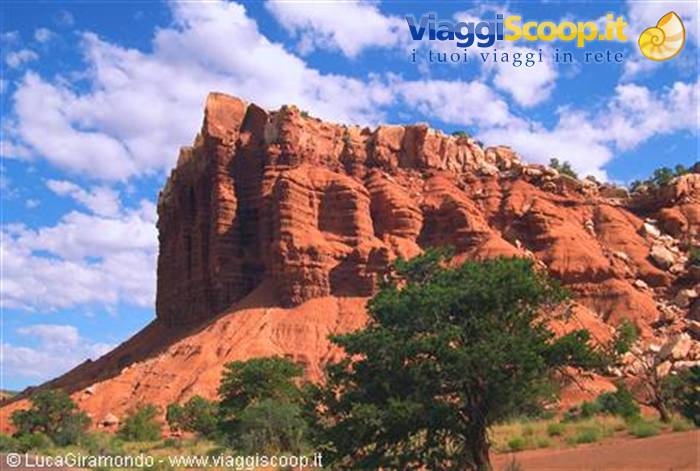 Capitol Reef National Park