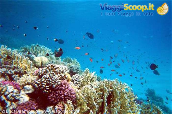 Awlad Barka - The seabed