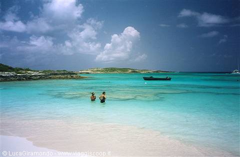 Anguilla - Prickly Pear