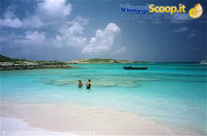 Anguilla - Prickly Pear