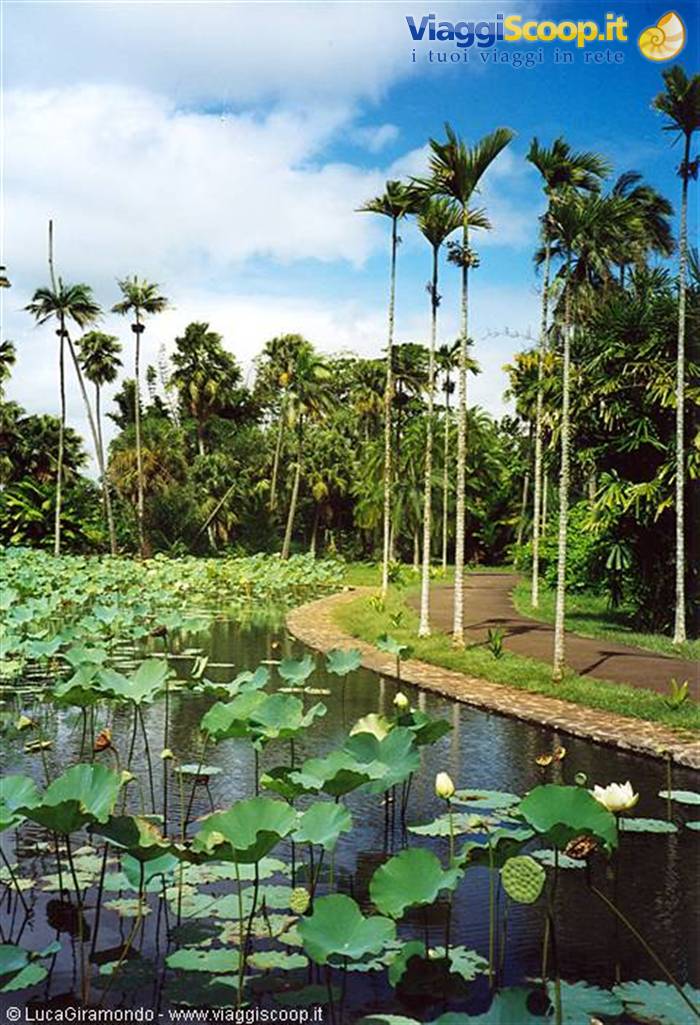 Pamplemousses Gardens