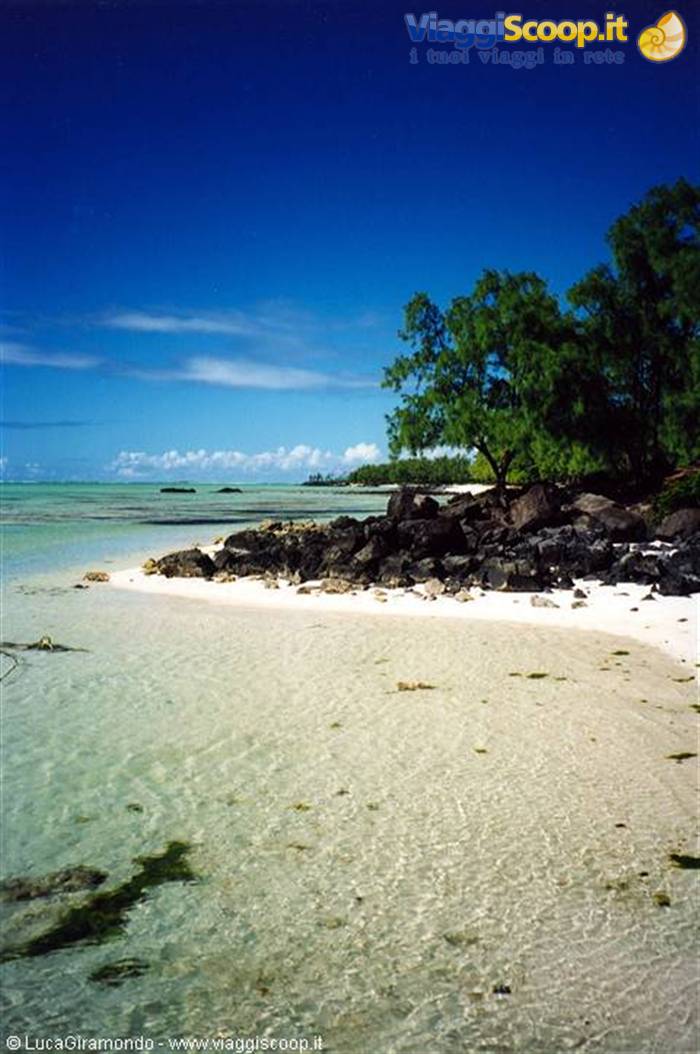 Deer Island